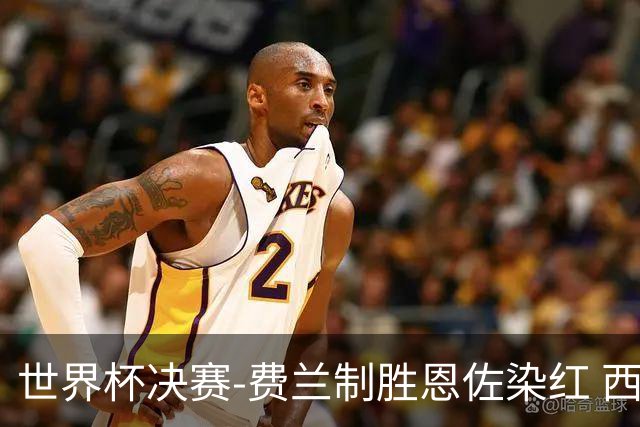 世界杯决赛-费兰制胜恩佐染红 西班牙加时1-0阿根廷夺冠