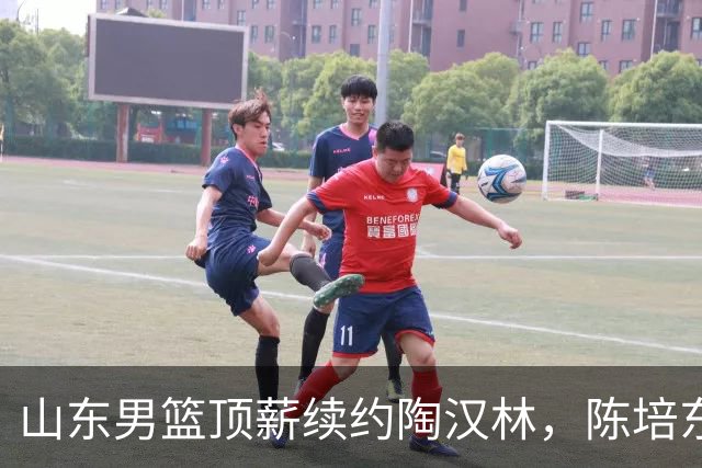 山东男篮顶薪续约陶汉林，陈培东续约留队，高诗岩或拿不到顶薪
