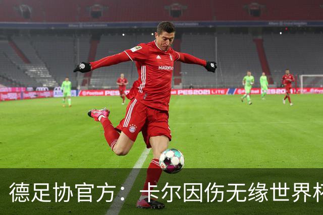德足协官方：卡尔因伤无缘世界杯，征召韦德拉奥果入替