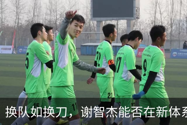 换队如换刀，谢智杰能否在新体系兑现天赋？
