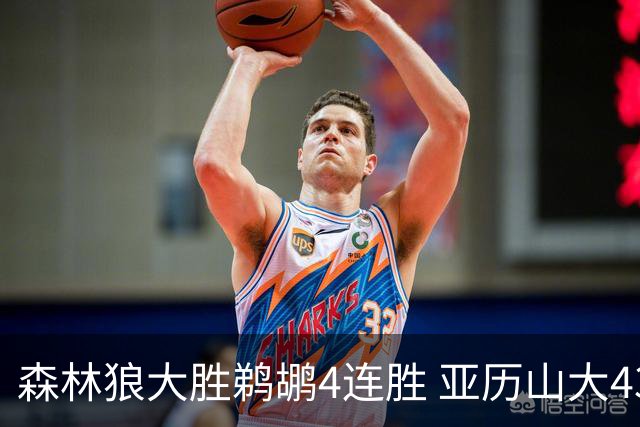 森林狼大胜鹈鹕4连胜 亚历山大43分雷霆克骑士